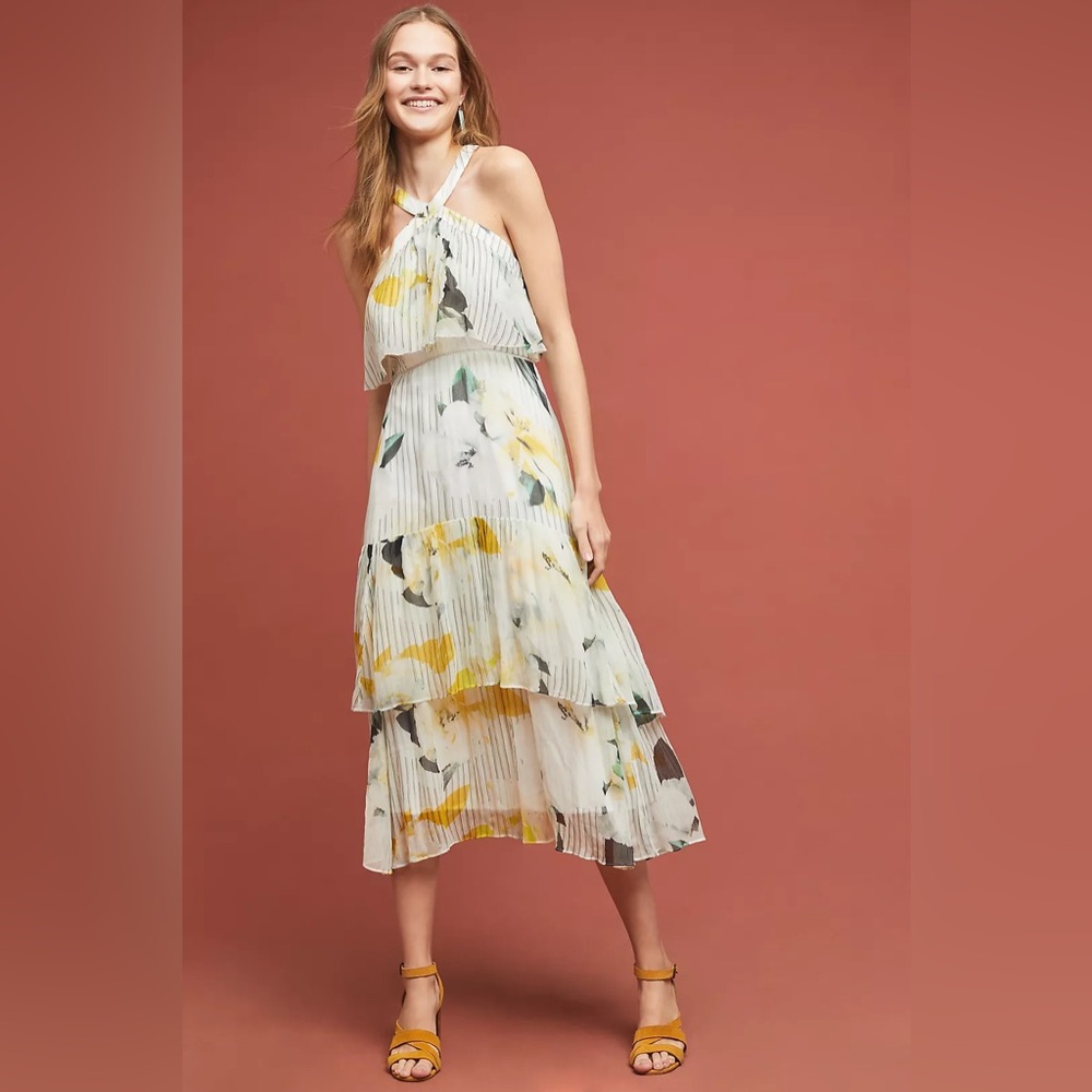 Anthropologie Garden Party Dress, Size 4